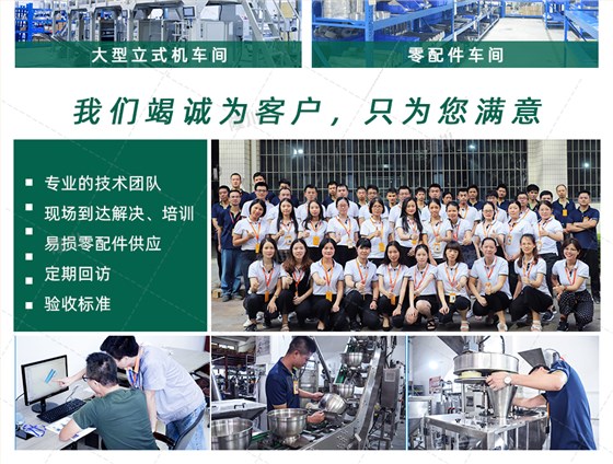 ZV-520A-十四头电子秤_10