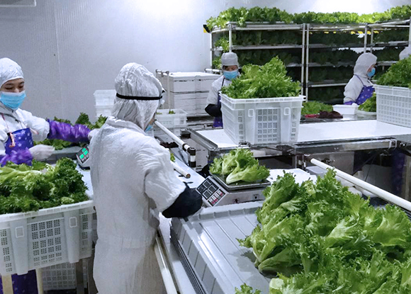 广西爆米花包装应用案例